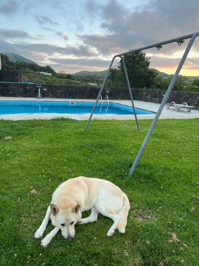 Arrenquinha Guesthouse 1 São Vicente Ferreira المظهر الخارجي الصورة