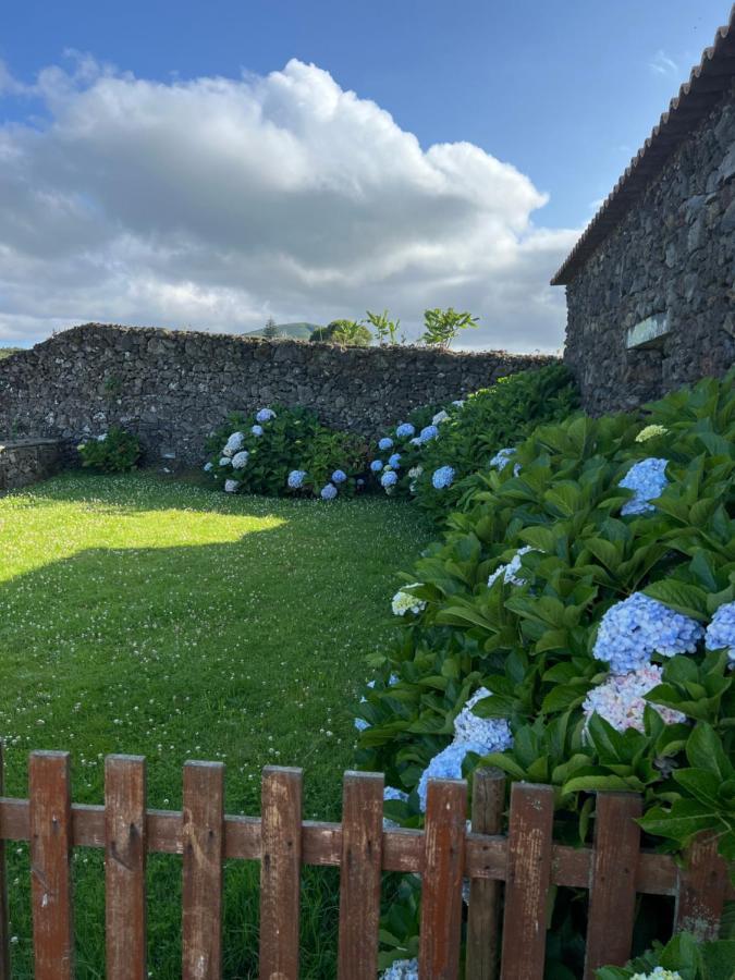 Arrenquinha Guesthouse 1 São Vicente Ferreira المظهر الخارجي الصورة