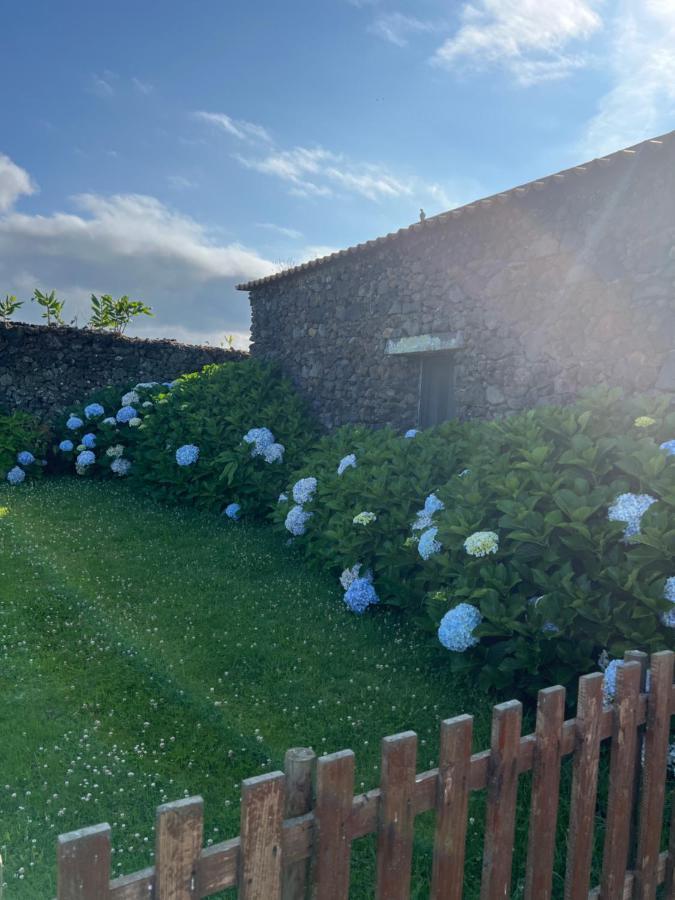Arrenquinha Guesthouse 1 São Vicente Ferreira المظهر الخارجي الصورة